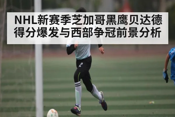 NHL新赛季芝加哥黑鹰贝达德得分爆发与西部争冠前景分析 | hth