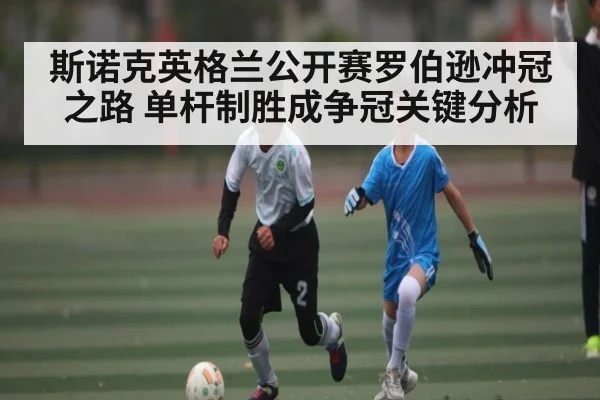斯诺克英格兰公开赛罗伯逊冲冠之路 单杆制胜成争冠关键分析 | hth