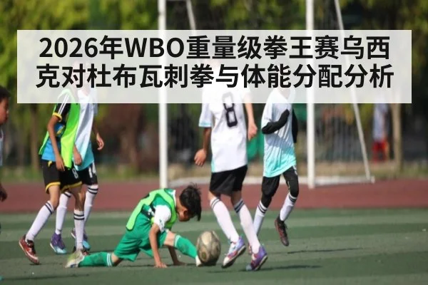 2026年WBO重量级拳王赛乌西克对杜布瓦刺拳与体能分配分析 | hth
